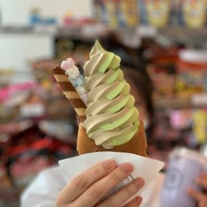 Meet your Posher, Lilly